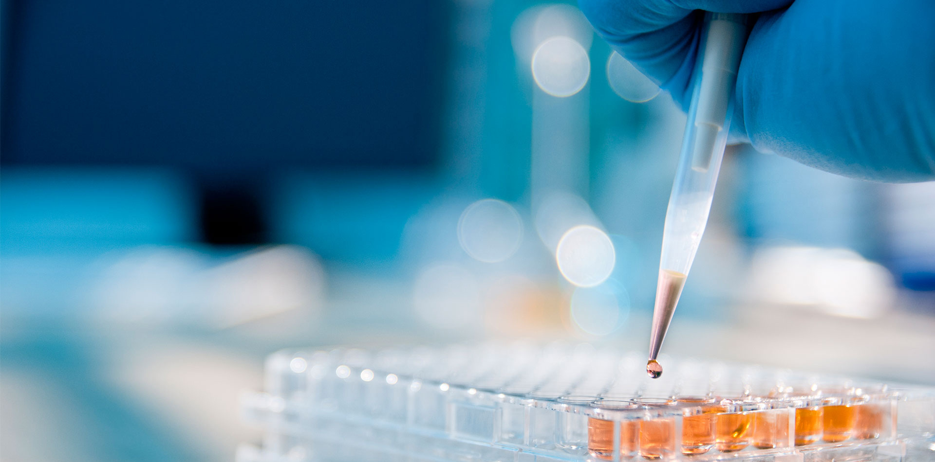 ub8优游平台_ub8优游共创优美未来