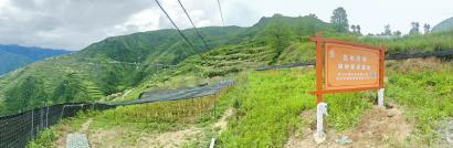 ub8优游平台_ub8优游共创优美未来